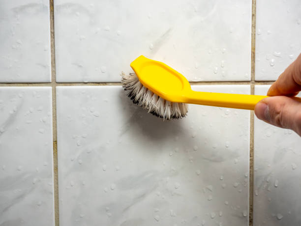 Best Home Mold Removal  in Monsey, NY
