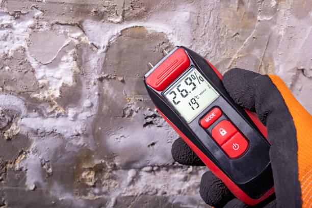 Best Fast Mold Removal  in Monsey, NY