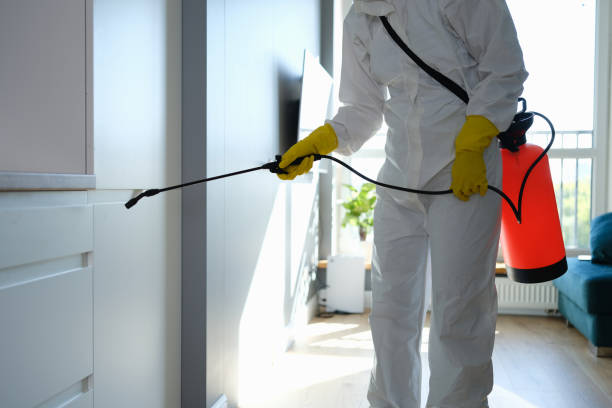 Best Mold Removal Near Me  in Monsey, NY