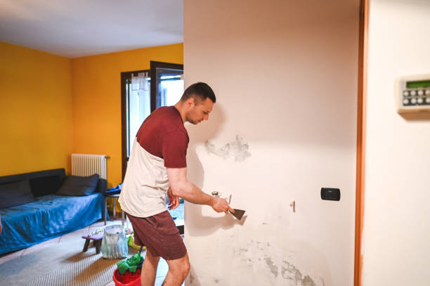 Best Mold Testing  in Monsey, NY